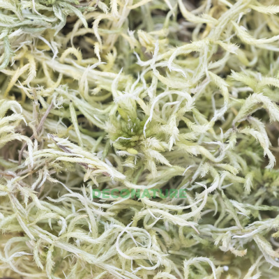 DECO NATURE SUBSTRATE SPHAGNUM MOSS - Субстрат из мха сфагнум, 1л/мешок